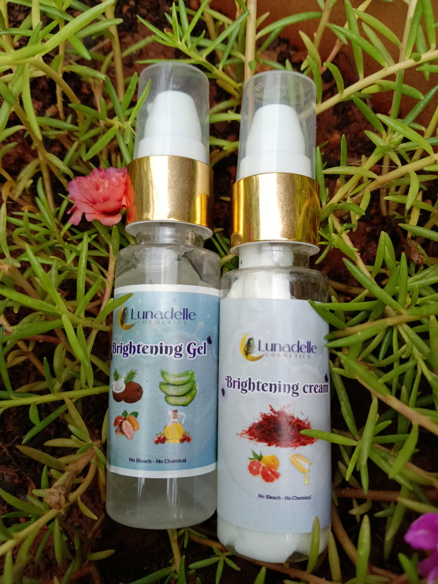 Brightening Kit